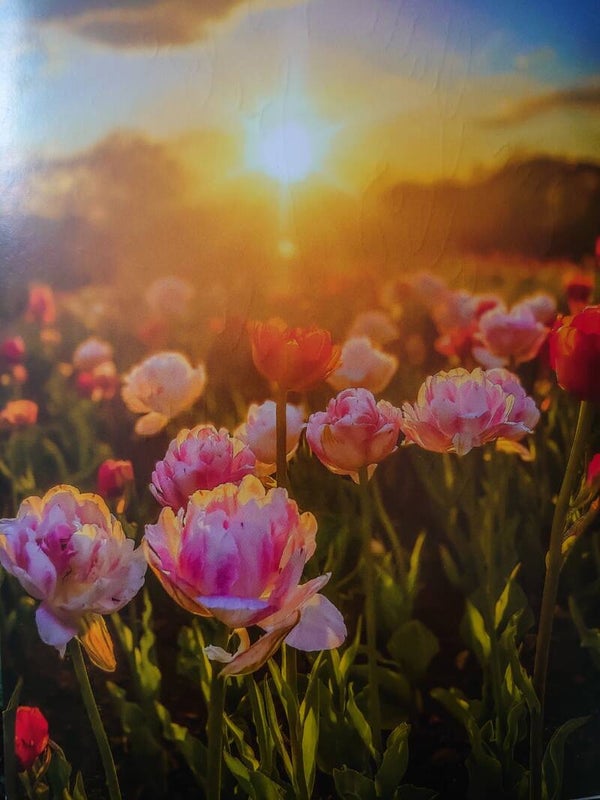 🕊️ 💚   Du bist wichtig.. Sommer - Special 😍 🎉