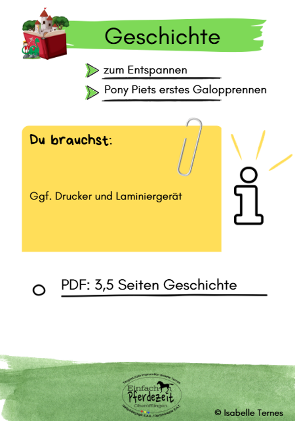 Geschichte: Pony Piets erstes Galopprennen