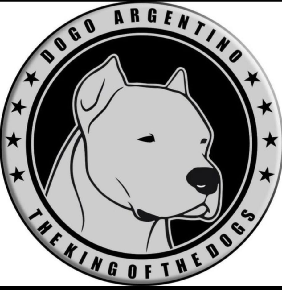 Wandtattoo selber gestalten