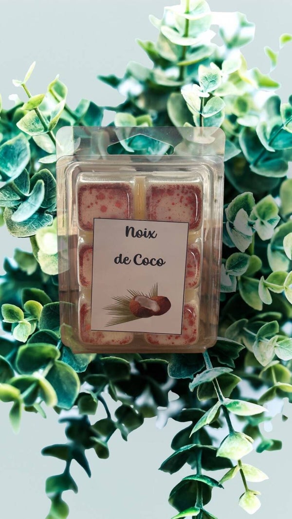 Noix de coco