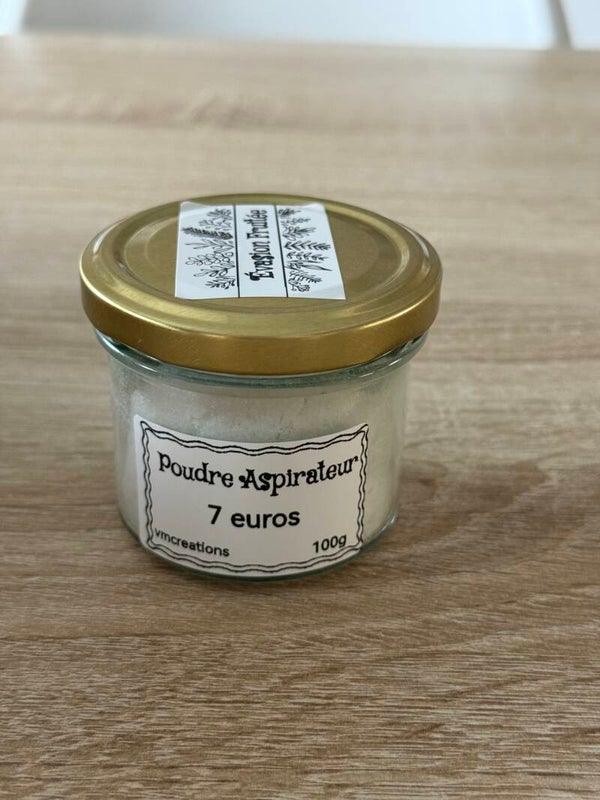 Poudre aspirateur