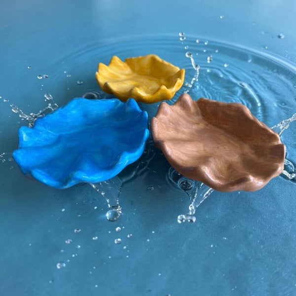 Coquillage