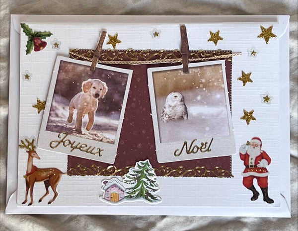 Carte de Vœux Joyeux Noël photos animaux