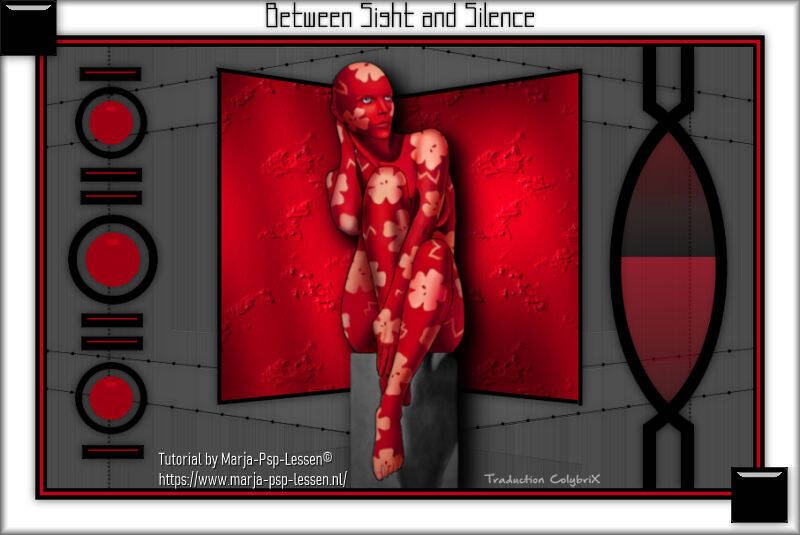 between-sight-and-silence-de-marja