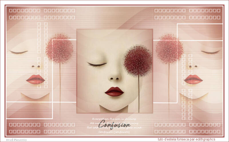 Confusion-d'estela-fonseca