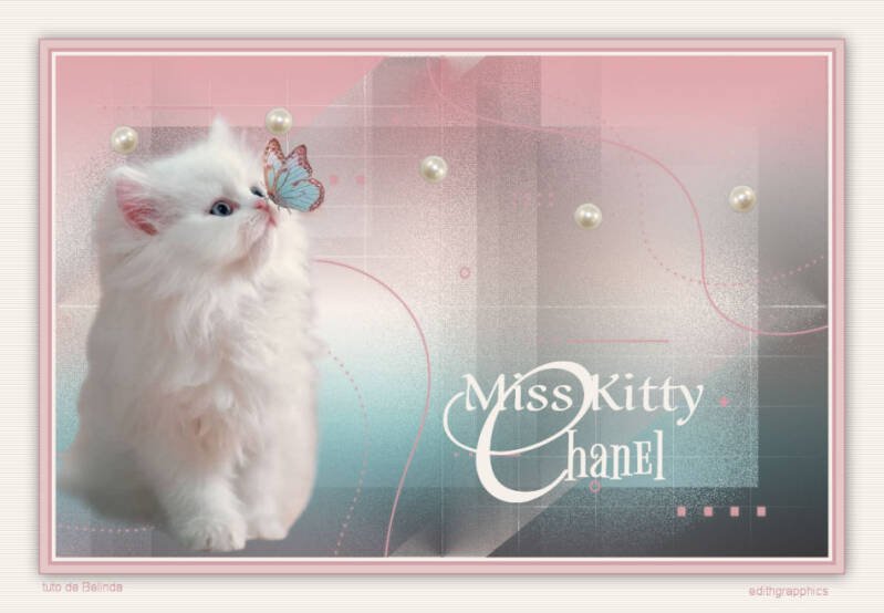 Miss-kitty-chanel