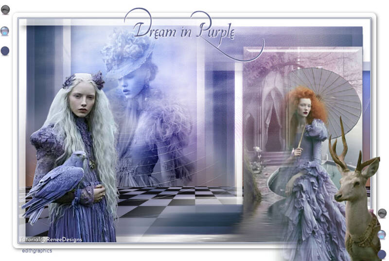 Purple-dream