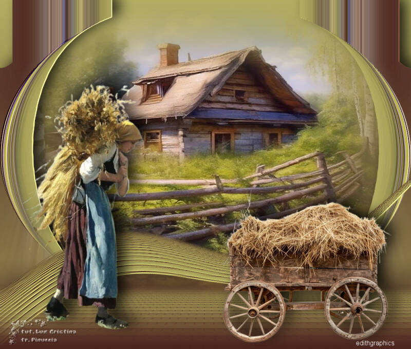 top-vivi-de-luzcristina