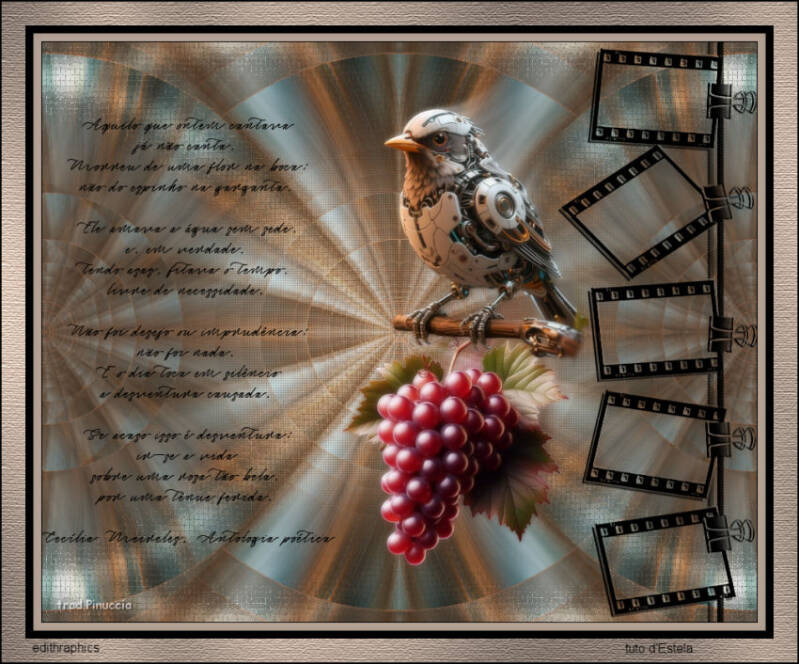 tunnel-tile d'estela