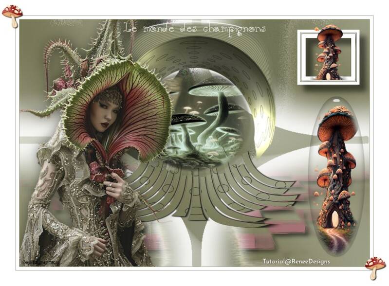 le monde des champignons