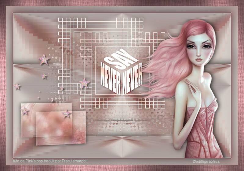 never-say-never de Pink