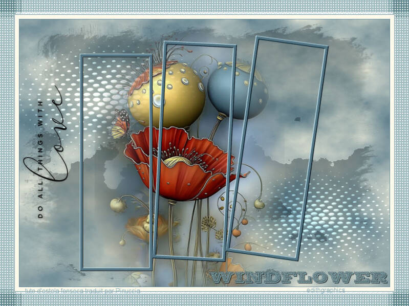 windflower-d-estela-fonseca
