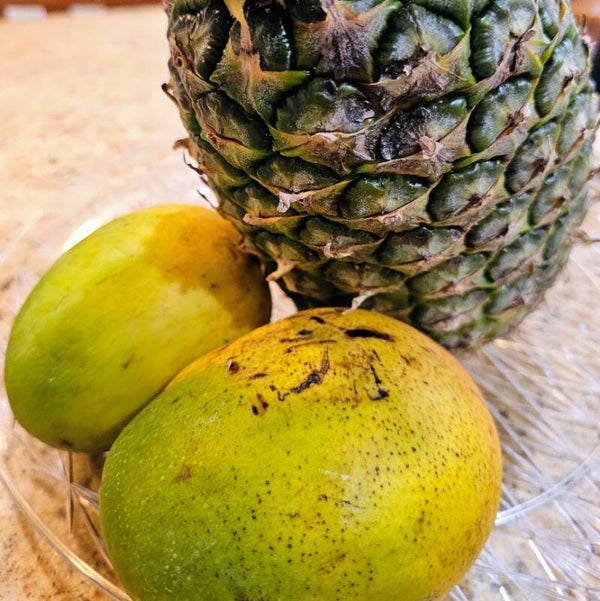Mango/Pineapple Blind Salsa