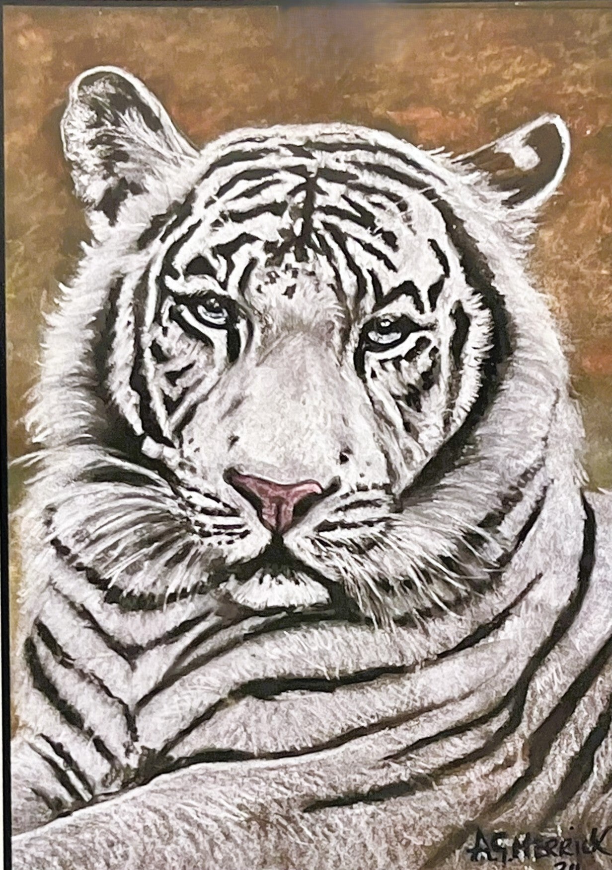 img-white-tiger-standard.jpg