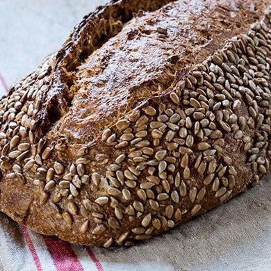 levain-bruin-zonnepit-standard-ibbz93.jpg