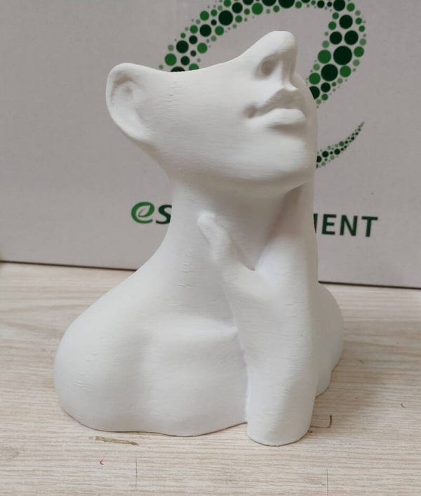 Busto donna porta pennelli trucco