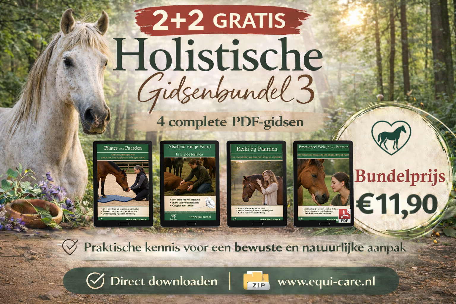 2 + 2 Holistische gidsenbundel 3