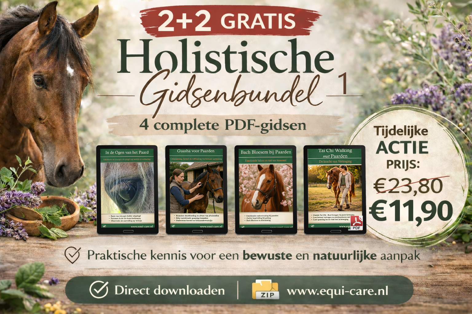 2 + 2 Holistische gidsenbundel 1