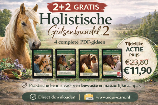 2 + 2 Holistische gidsenbundel 2