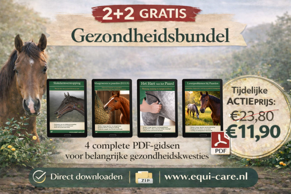 2 + 2 Gezondheid gidsenbundel