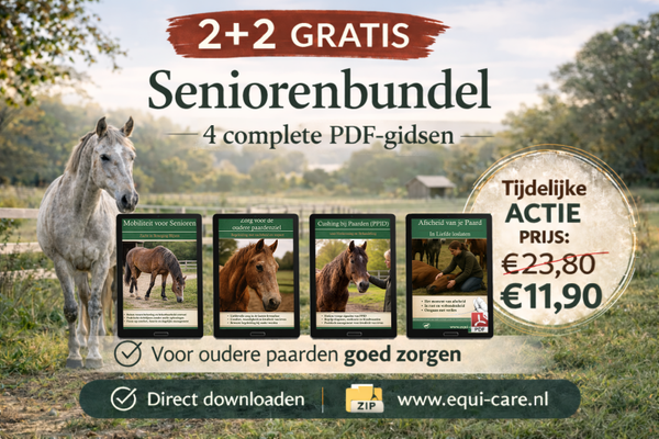 2 + 2 Seniorenbundel