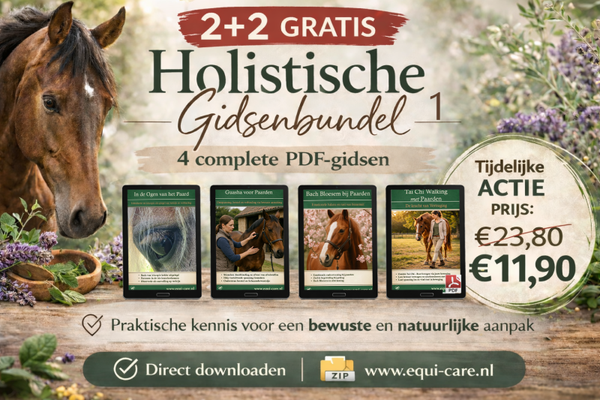 2 + 2 Holistische gidsenbundel 1