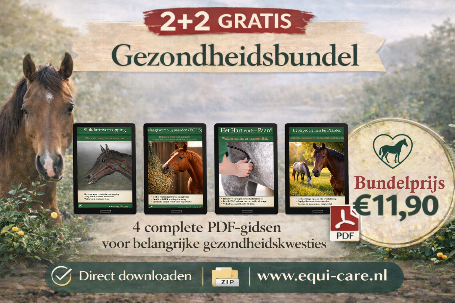 2 + 2 Gezondheid gidsenbundel