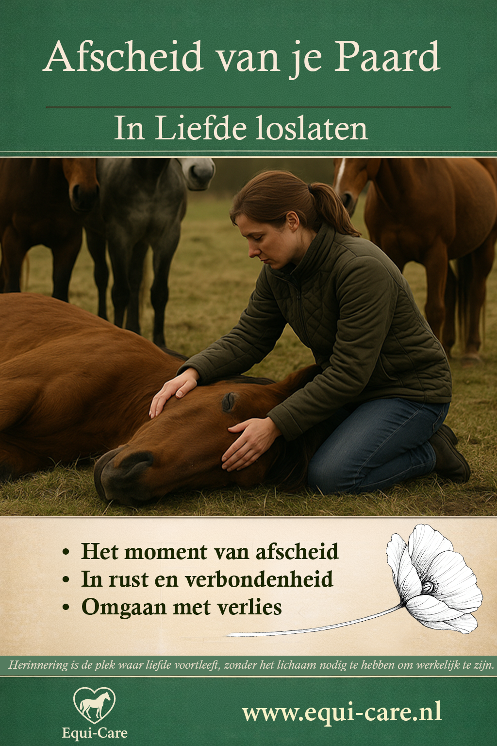 Afscheid van je Paard | In Liefde Loslaten