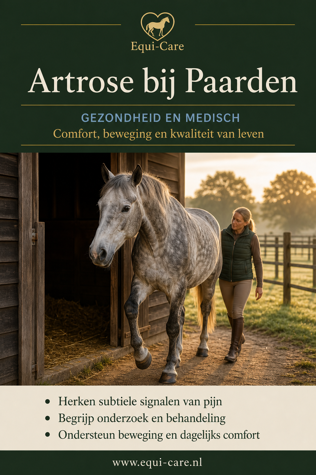 Artrose bij Paarden