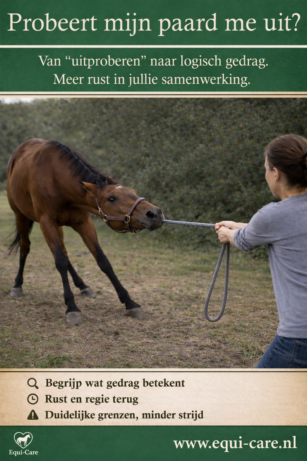 Probeert mijn Paard me uit?