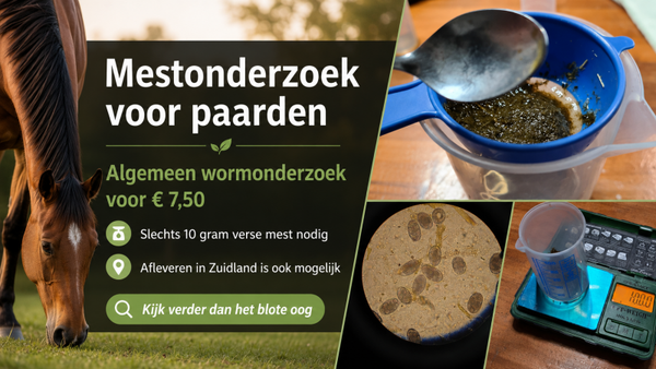 Mestonderzoek