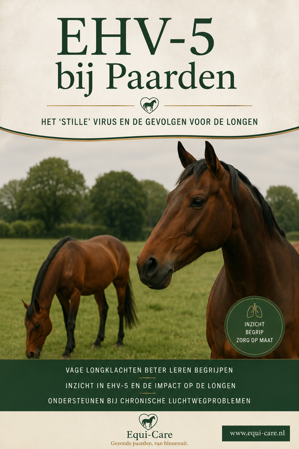 EHV-5 bij paarden