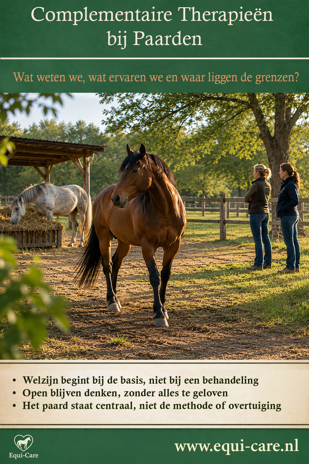 Complementaire Therapieën bij Paarden | Wat weten we, wat ervaren we en waar liggen de grenzen?