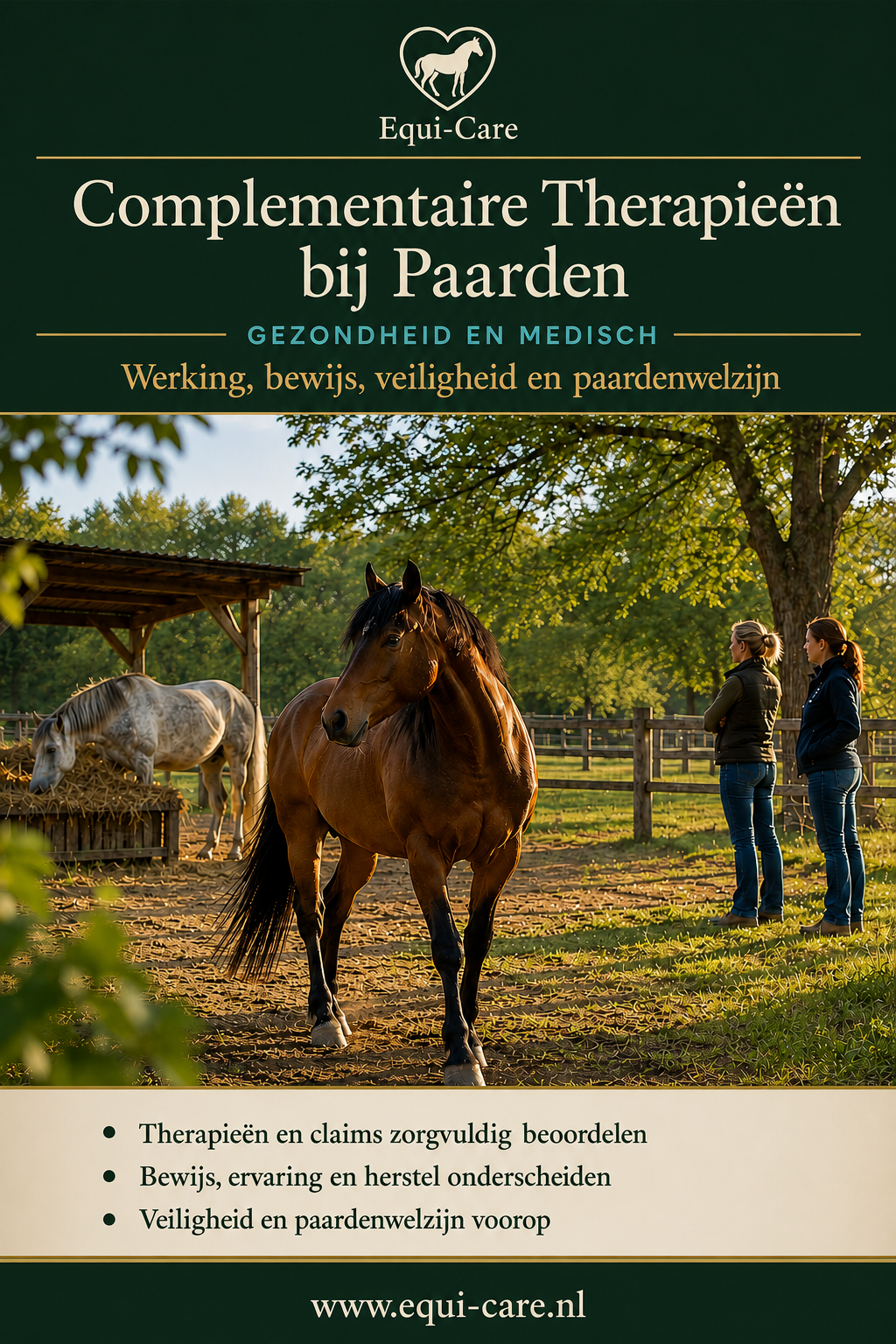 Complementaire Therapieën bij Paarden