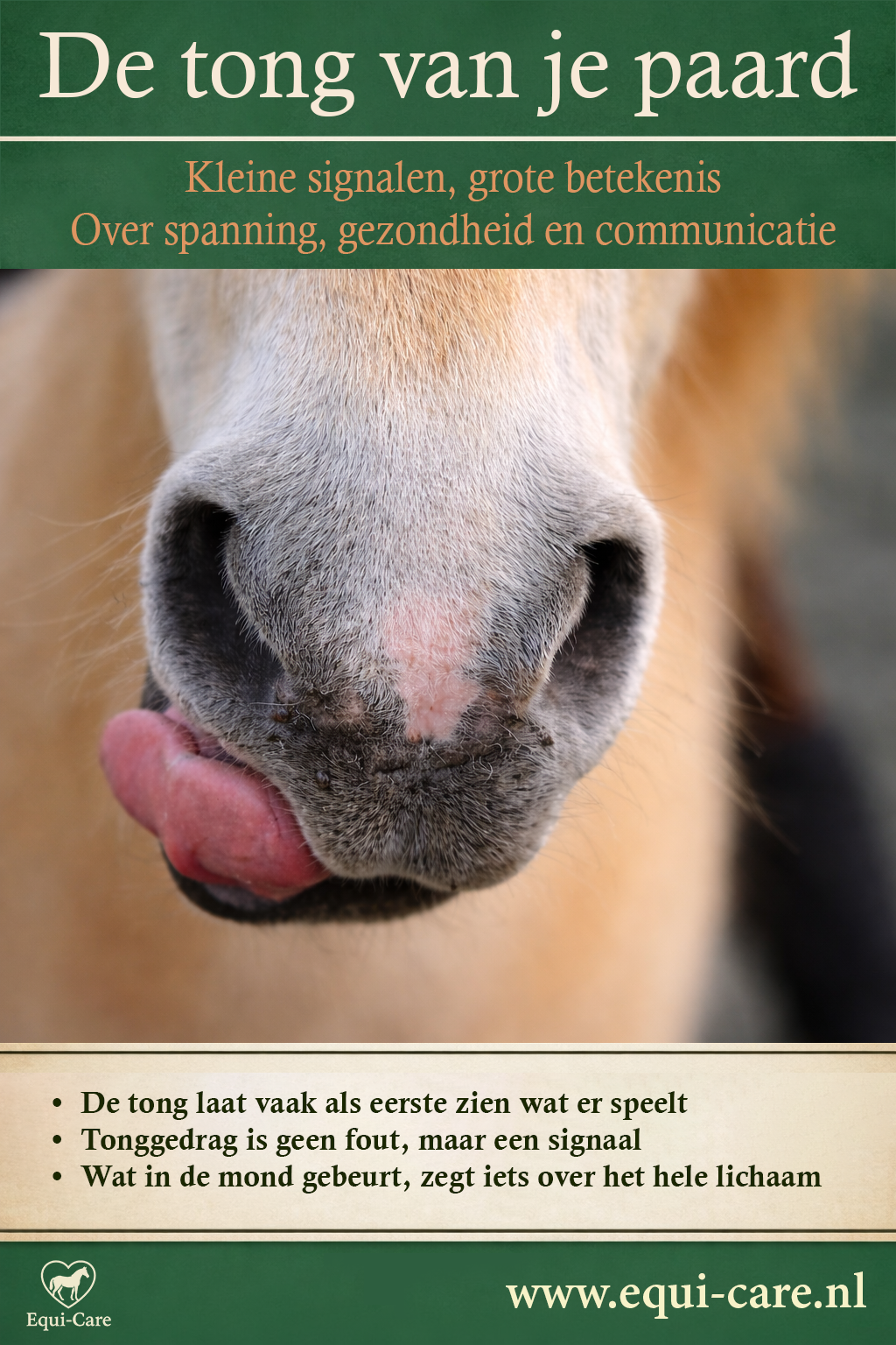 De tong van je paard | Kleine signalen, grote betekenis