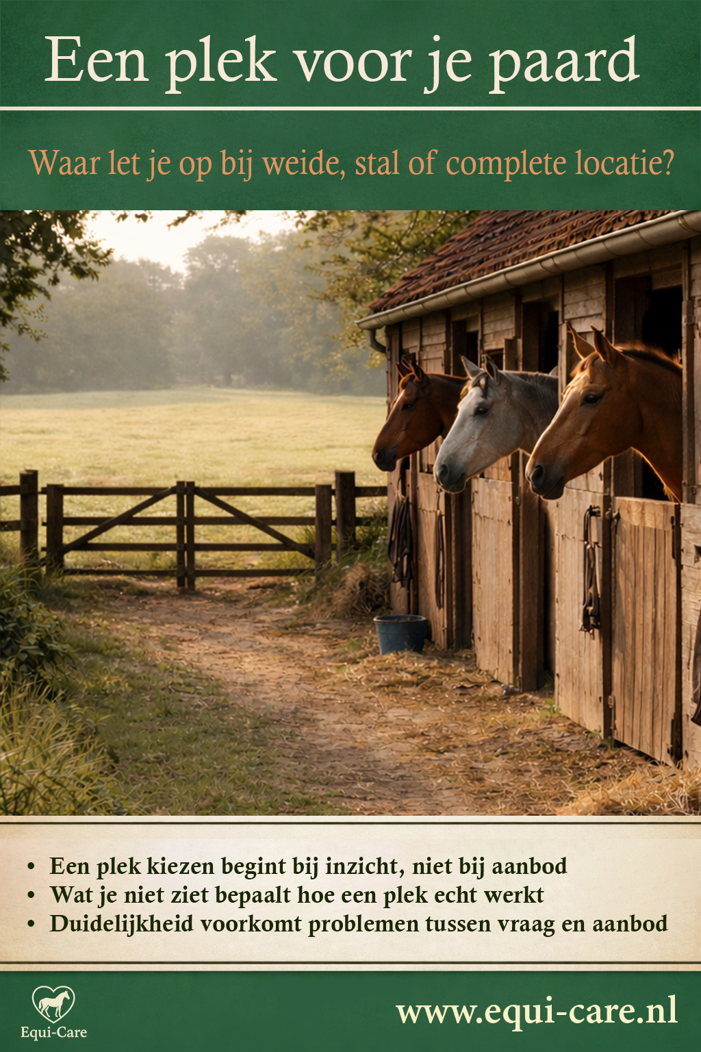Een plek voor je paard | Waar let je écht op bij weide, stal of complete locatie?