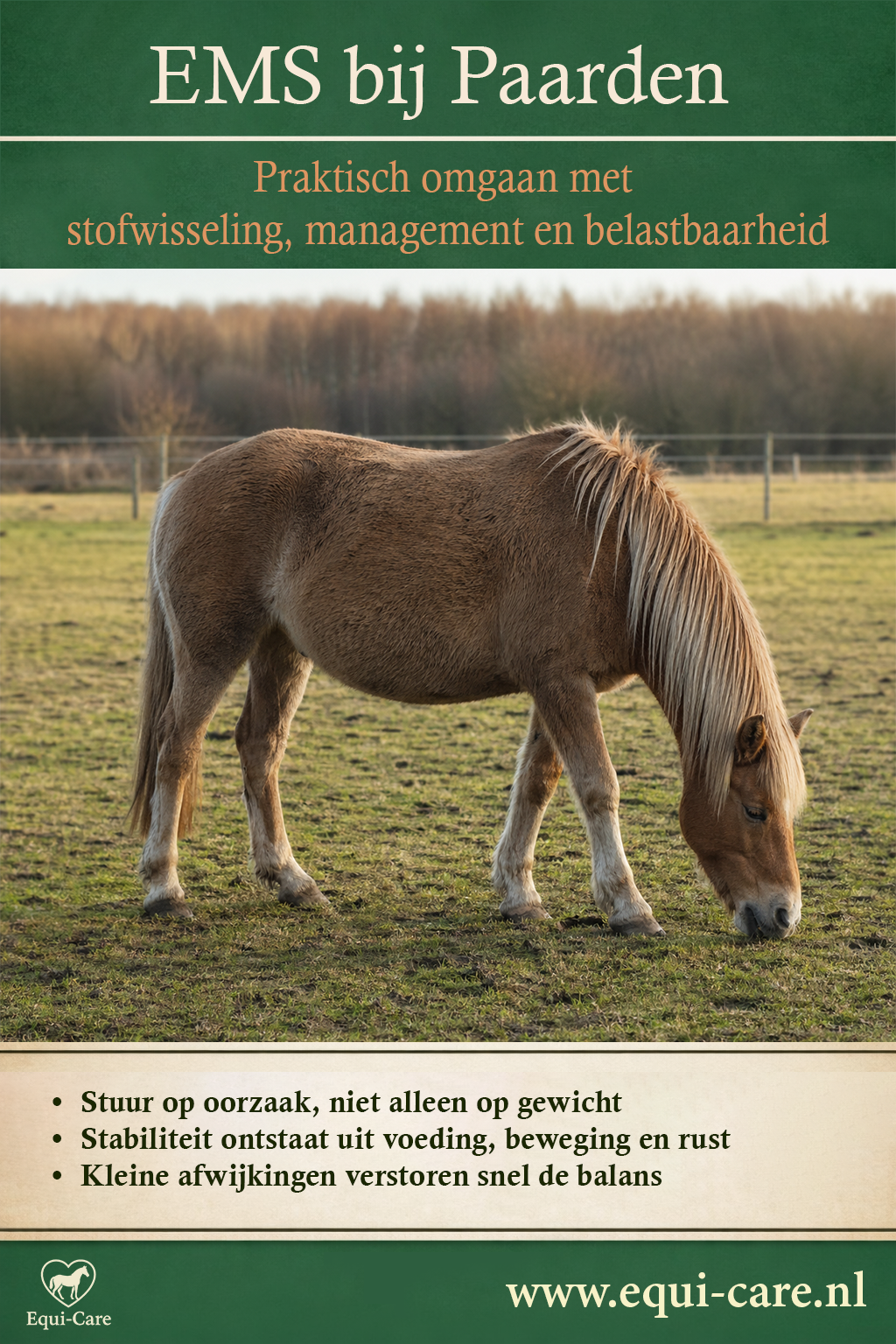 EMS bij Paarden | Praktisch omgaan met stofwisseling, management en belastbaarheid