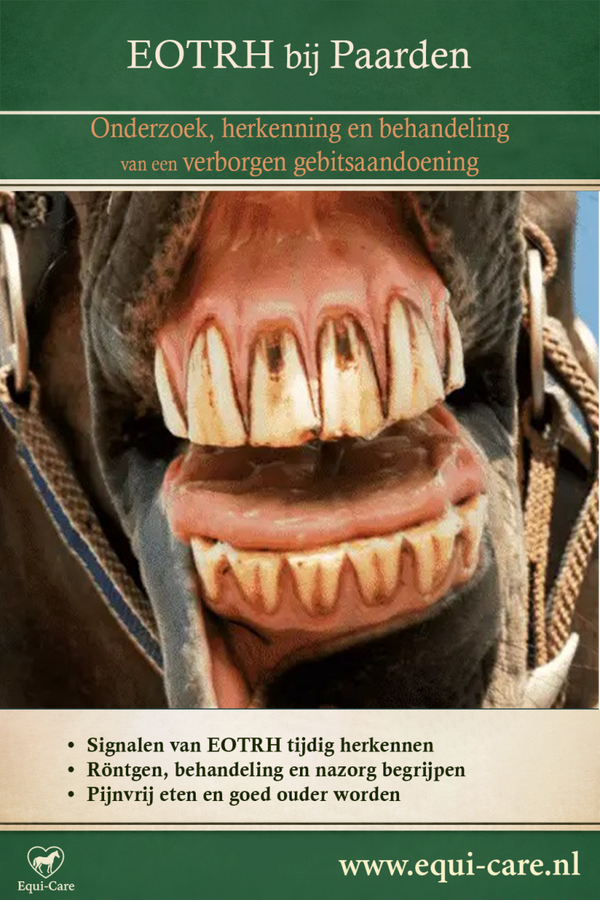 EOTRH bij Paarden | Herkennen, onderzoeken en behandelen van een verborgen gebitsaandoening