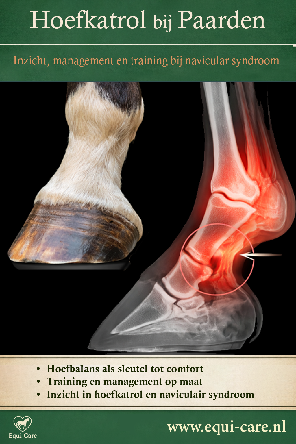 Hoefkatrol bij Paarden | Inzicht, management en training bij navicular syndroom