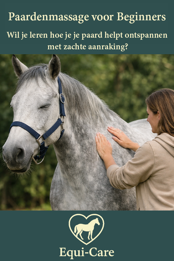 Paardenmassage voor Beginners
