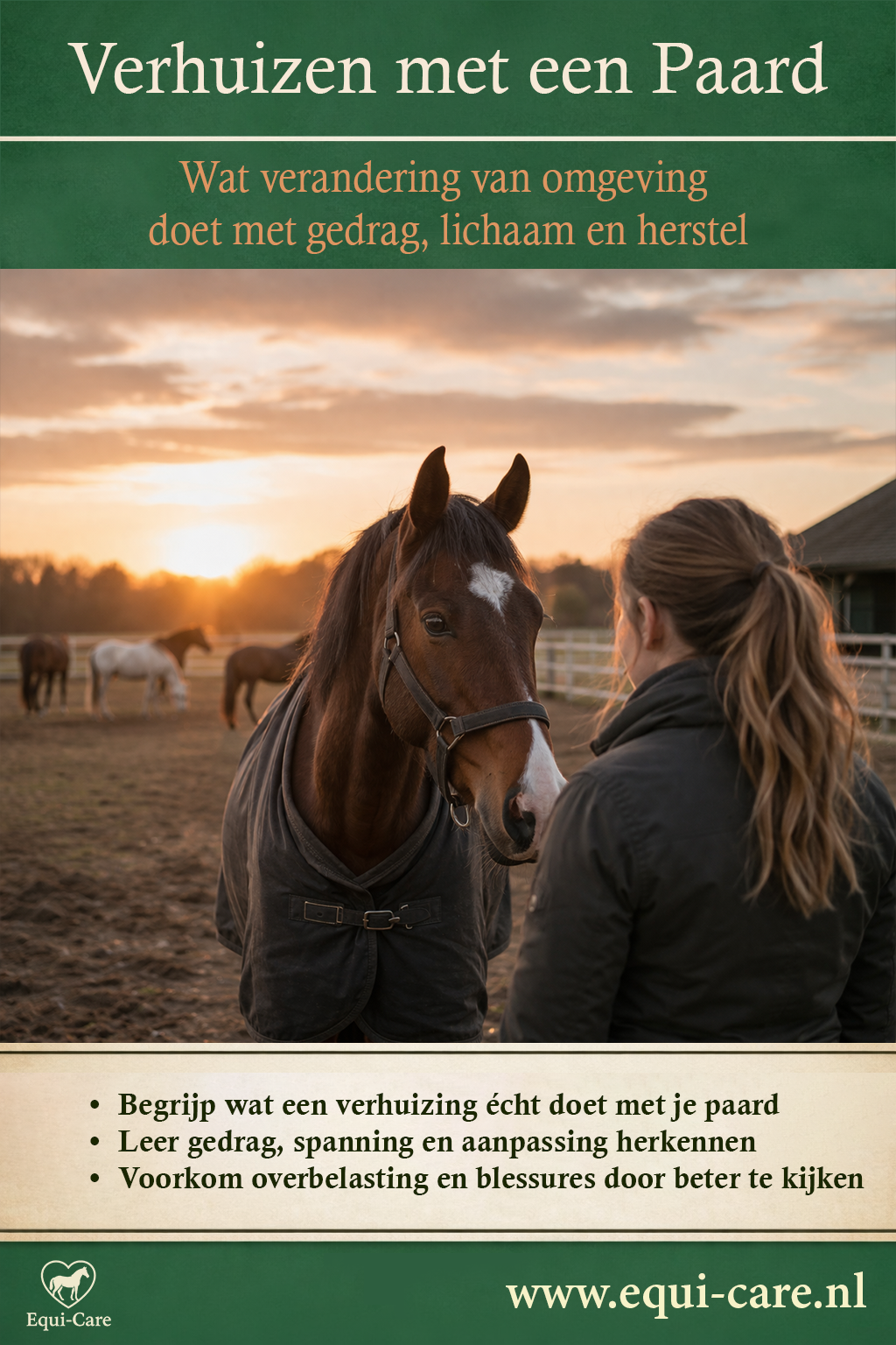 Verhuizen met een Paard