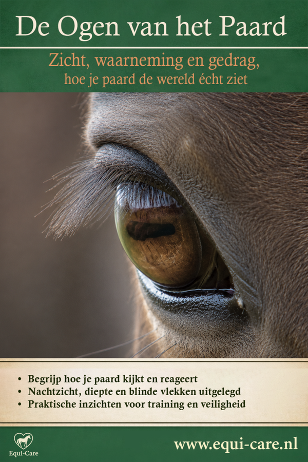 De ogen van het Paard