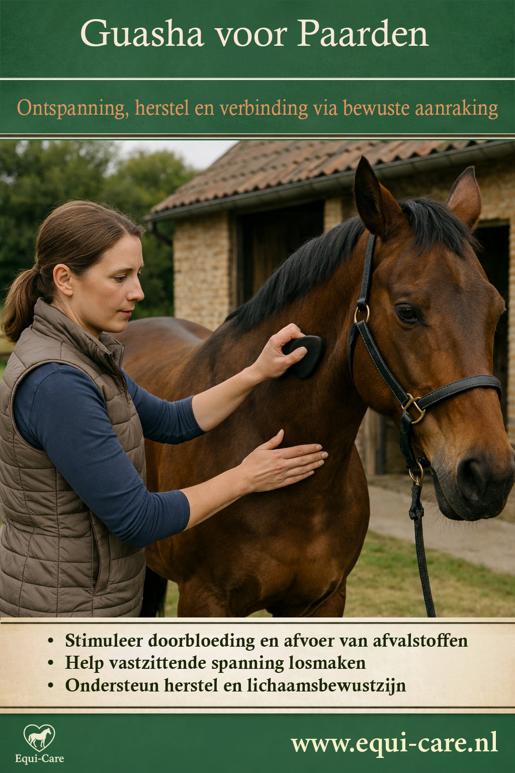 Guasha voor Paarden