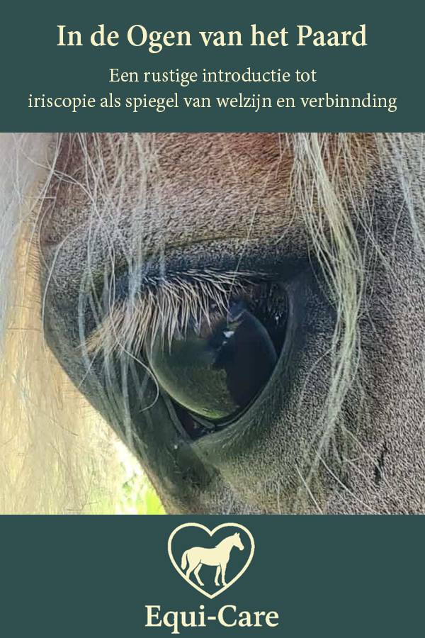 In de Ogen van het Paard