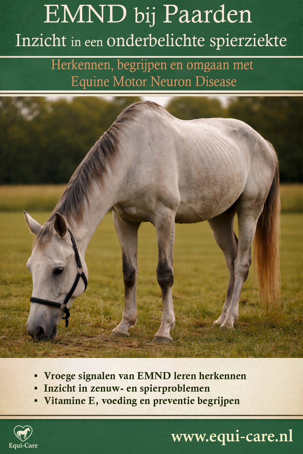 EMND bij Paarden