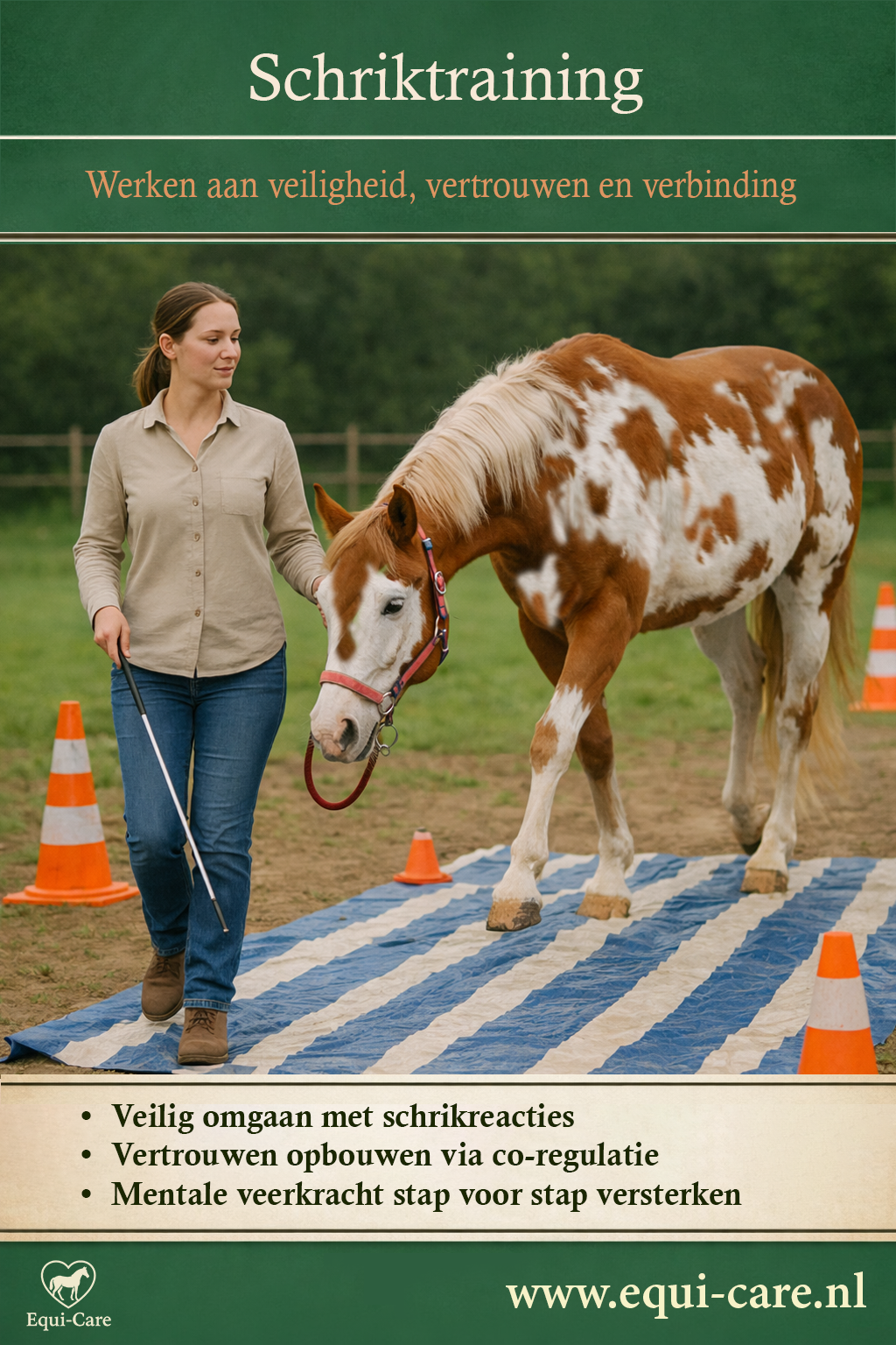 Schriktraining - veiligheid, vertrouwen en verbinding
