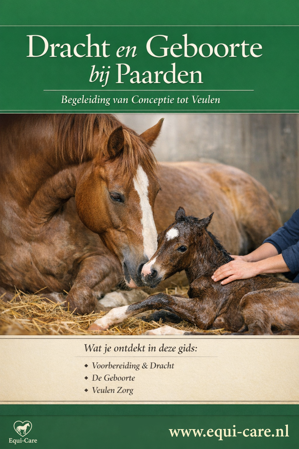 Dracht en geboorte bij paarden