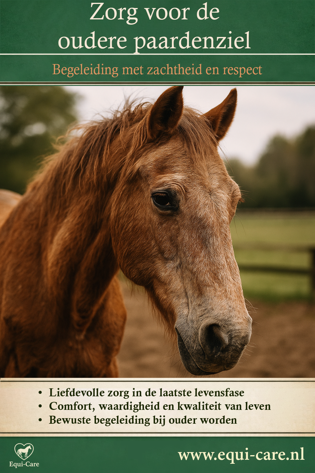 Zorg voor de oudere paardenziel