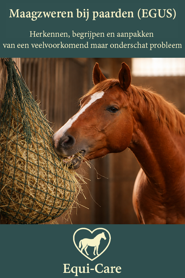 Maagzweren bij paarden (EGUS)