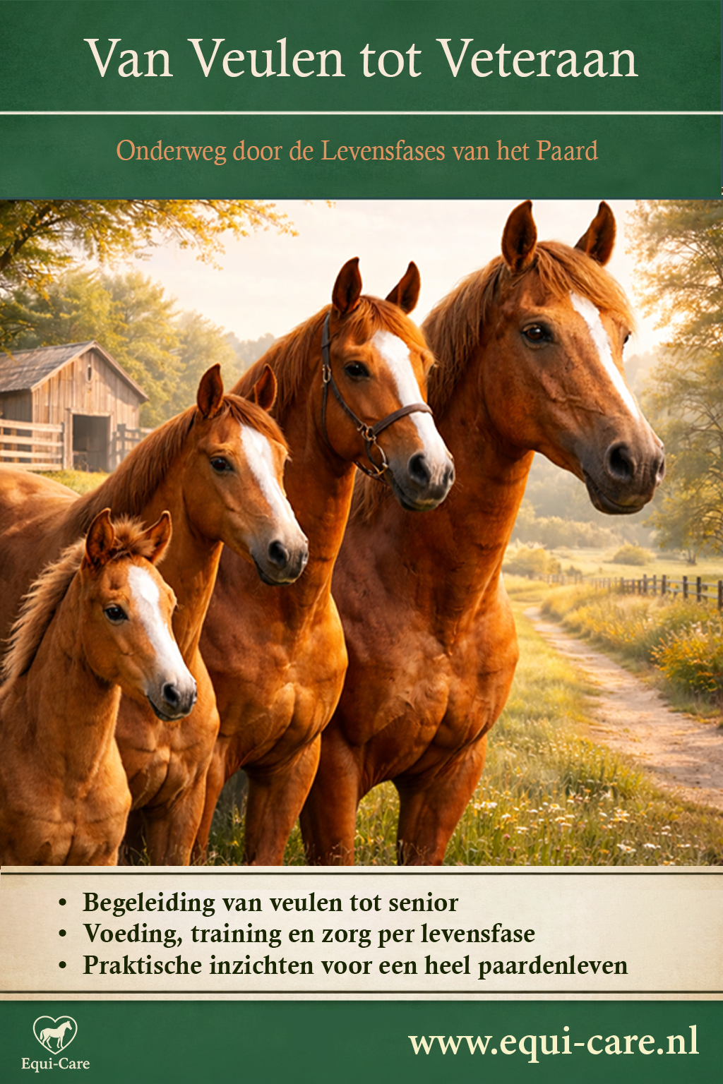 Van Veulen tot Veteraan